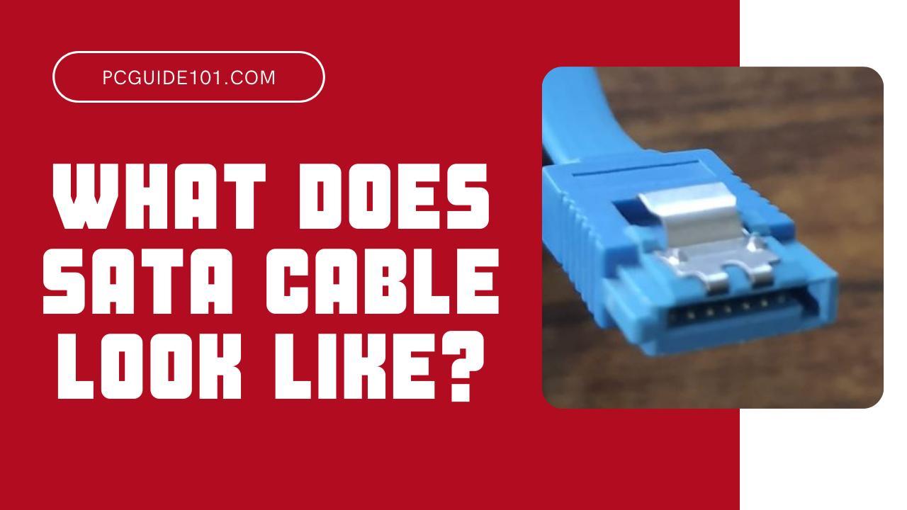 What Does SATA Cable Look Like? - PC Guide 101