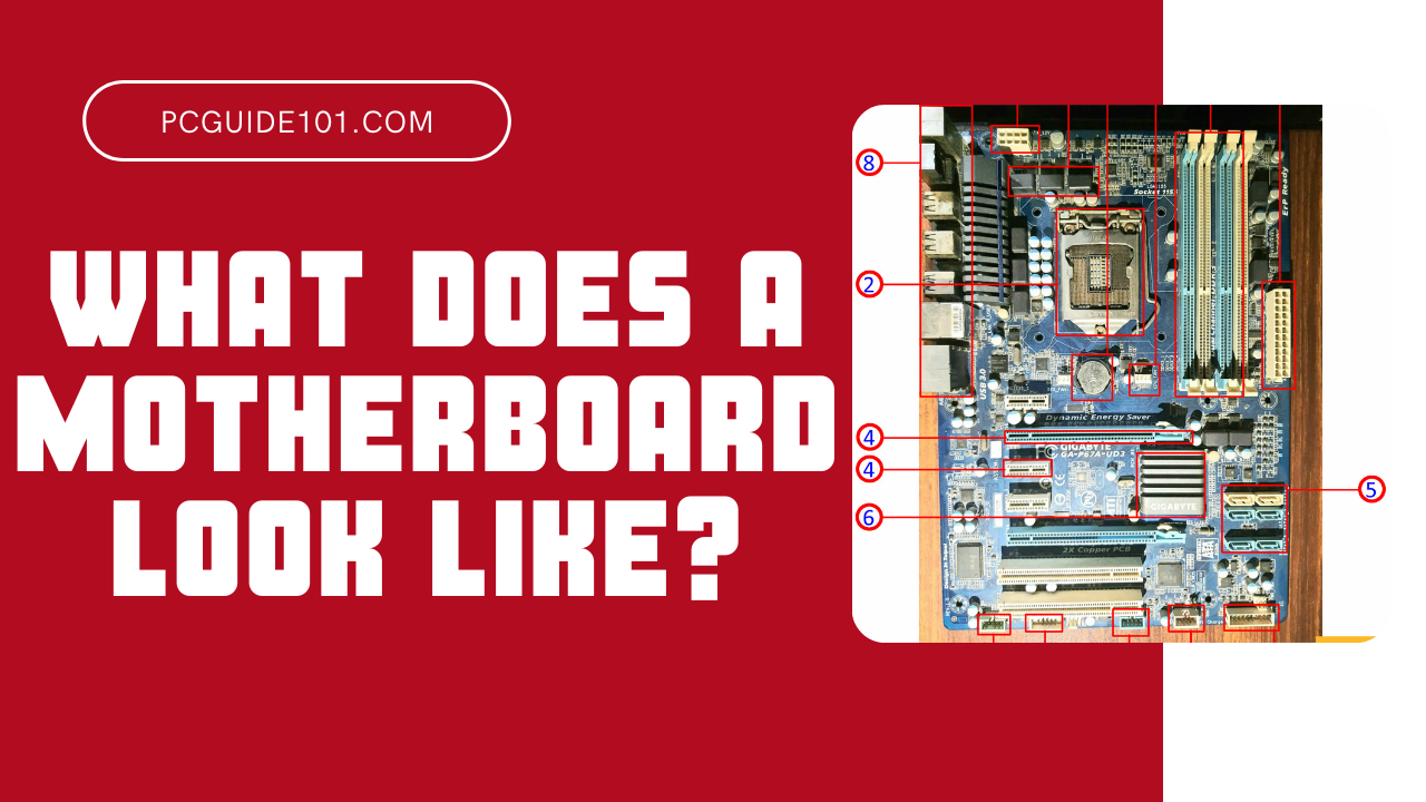 What Does a Motherboard Look Like? PC Guide 101